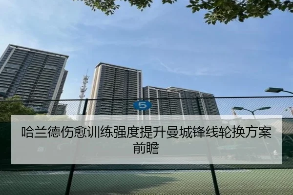 哈兰德伤愈训练强度提升曼城锋线轮换方案前瞻 | hth